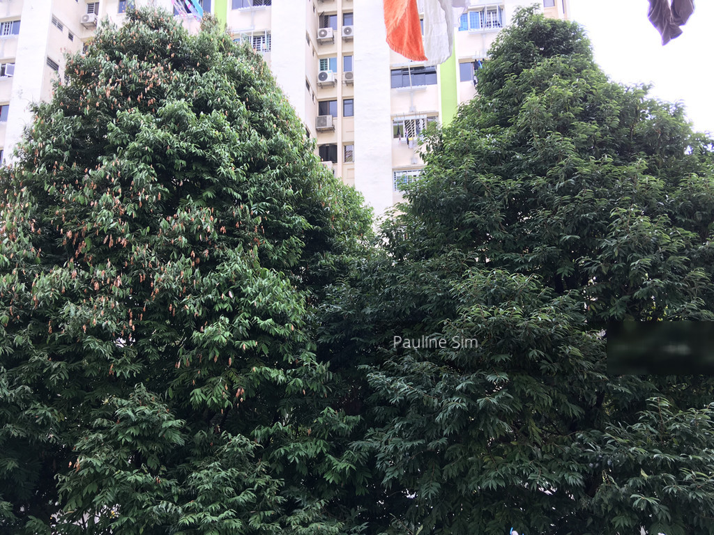 Blk 109 Ang Mo Kio Avenue 4 (Ang Mo Kio), HDB 4 Rooms #187307792